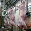 линия по переработке мяса Крс в Рязани 3