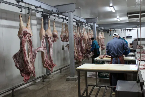 линия по переработке мяса Крс в Рязани