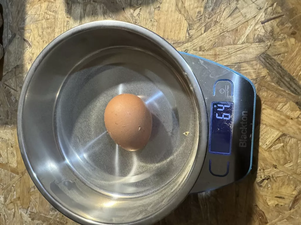 яйцо куриное фермерское в Рязани и Рязанской области 7