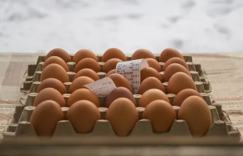 Миллиард куриных яиц произвели в Рязанской области за 2021 год
