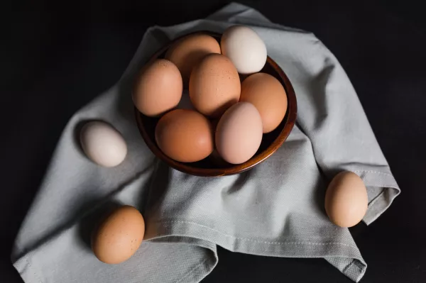 С территории Рязанской области в 2022 году отправлено на экспорт более 780 000 штук инкубационных яиц