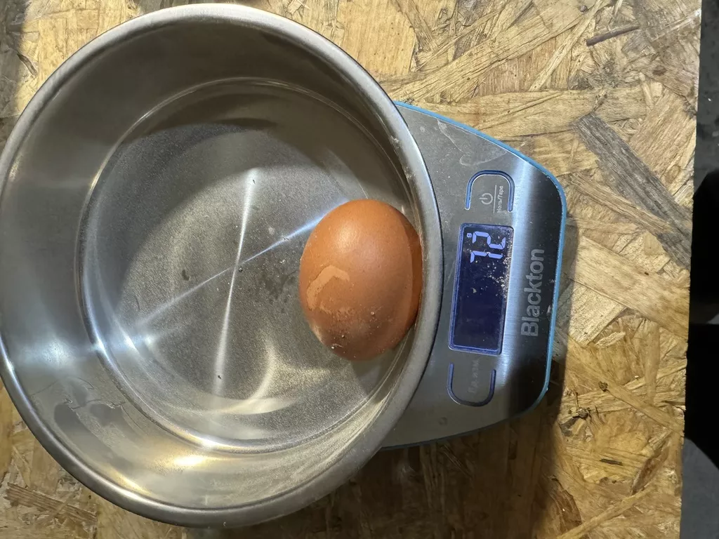 яйцо куриное фермерское в Рязани и Рязанской области 9