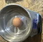 яйцо куриное фермерское в Рязани и Рязанской области 7
